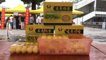 臺州青年農創(chuàng)市集圓滿收官，青春創(chuàng)意與鄉(xiāng)土風味碰撞出別樣火花